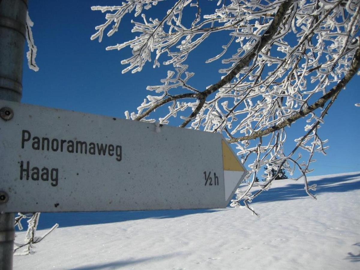 Haus Panorama Apartment Oy-Mittelberg Exterior photo